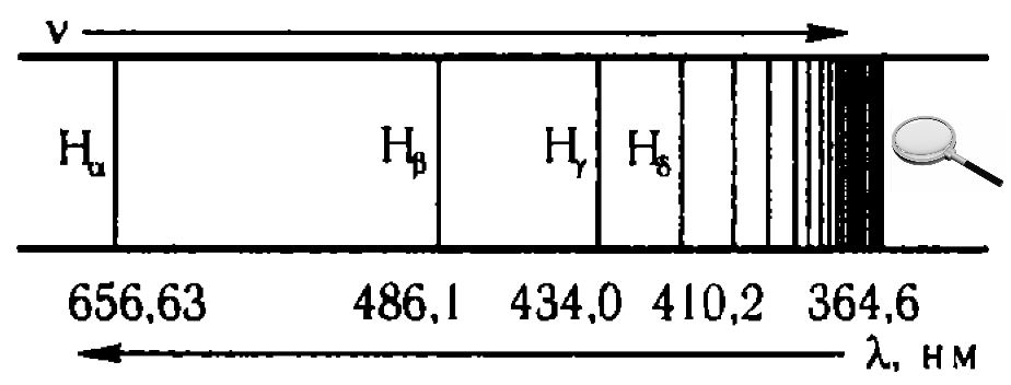 Fig4